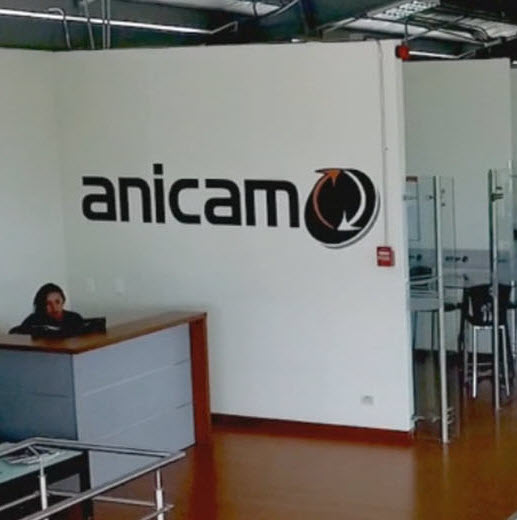 Who is Anicam?